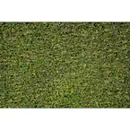 ARTIFICAL GRASS RUG