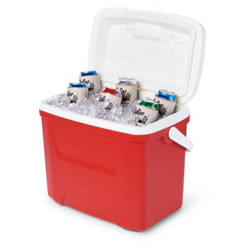 Igloo 28QT Cooler