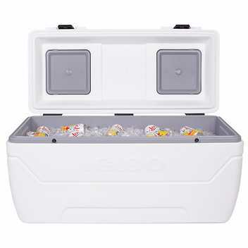 IGLOO 165QT MAX COLD COOLER